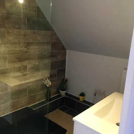 Maison Spacieuse, Quartier La Madeleine, Terrasse Et Jardin Holiday home