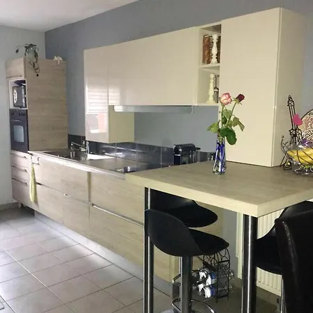 Maison Spacieuse, Quartier La Madeleine, Terrasse Et Jardin Holiday home *