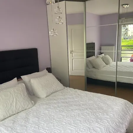 Maison Spacieuse, Quartier La Madeleine, Terrasse Et Jardin Holiday home *