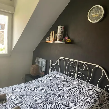 Maison Spacieuse, Quartier La Madeleine, Terrasse Et Jardin Holiday home